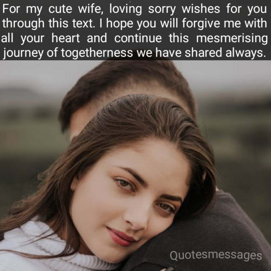 I am sorry messages for wife