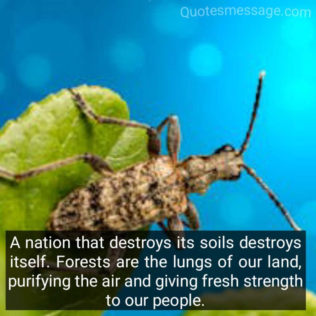 World Pest Day Quotes